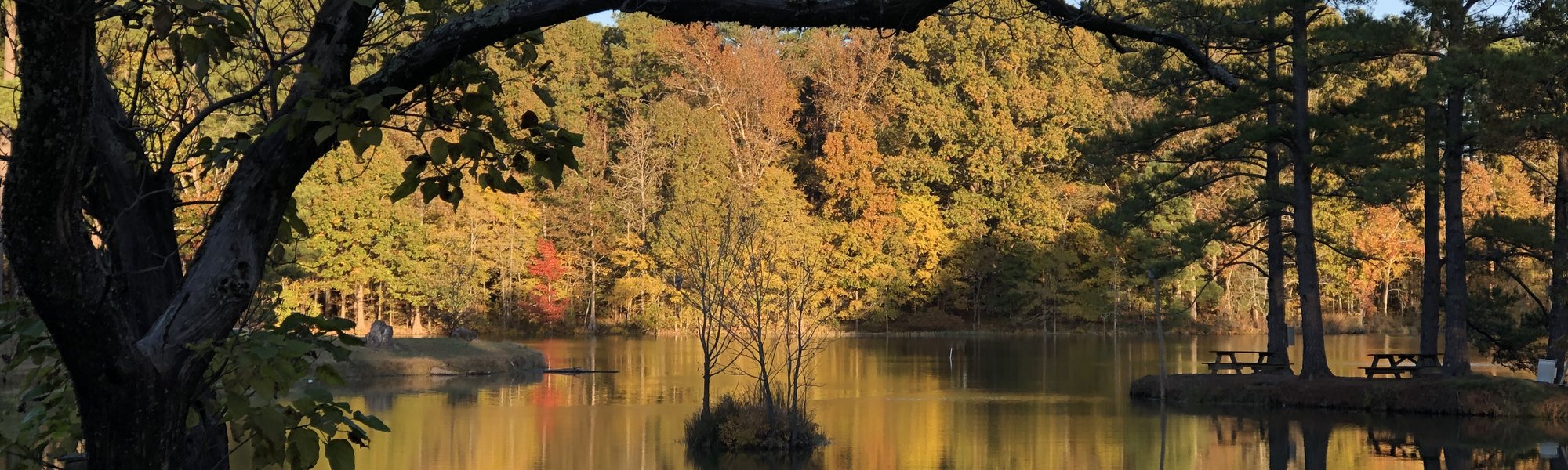 Herb Parsons Lake, Fayette County TN